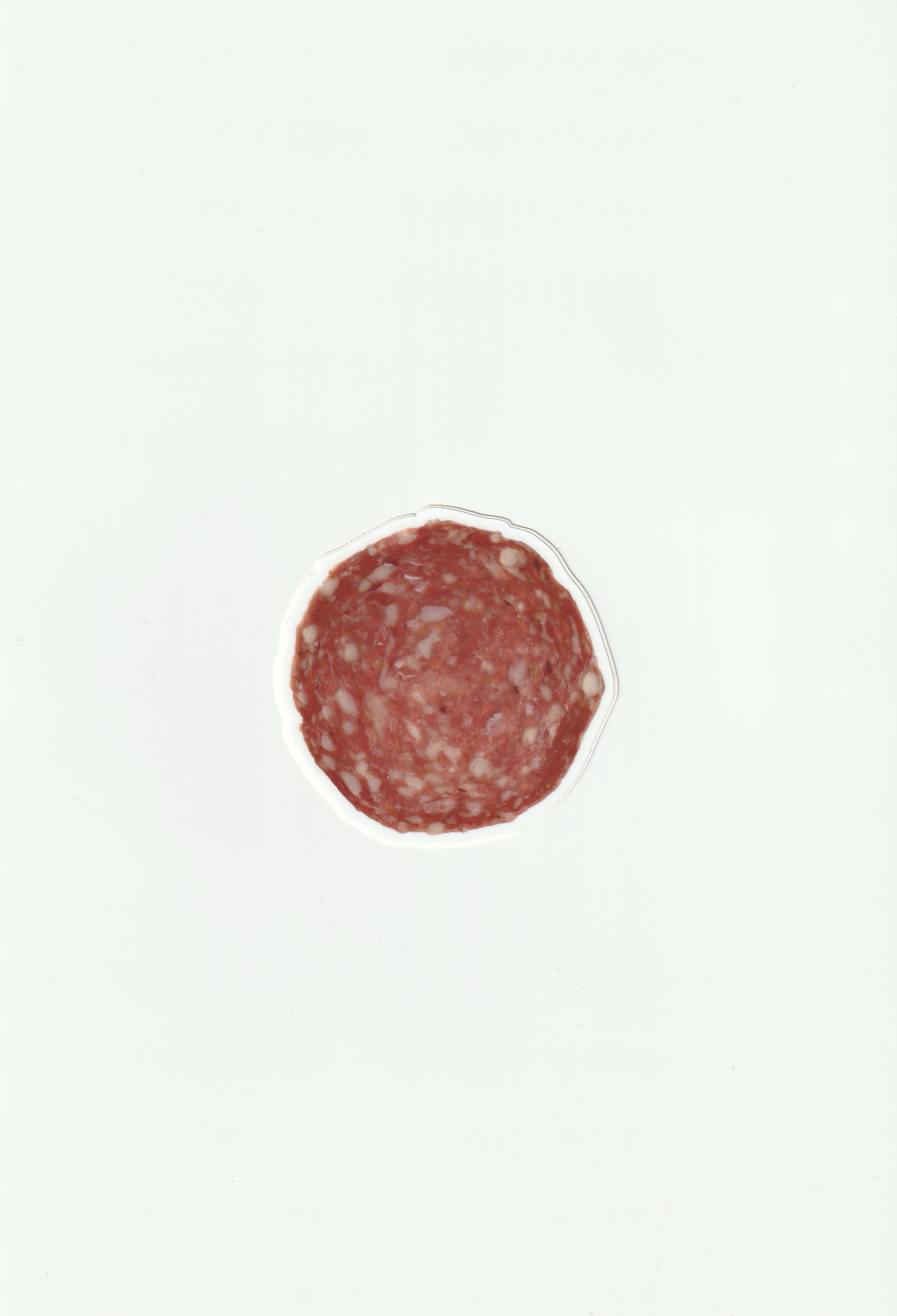 salami sticker, life-size