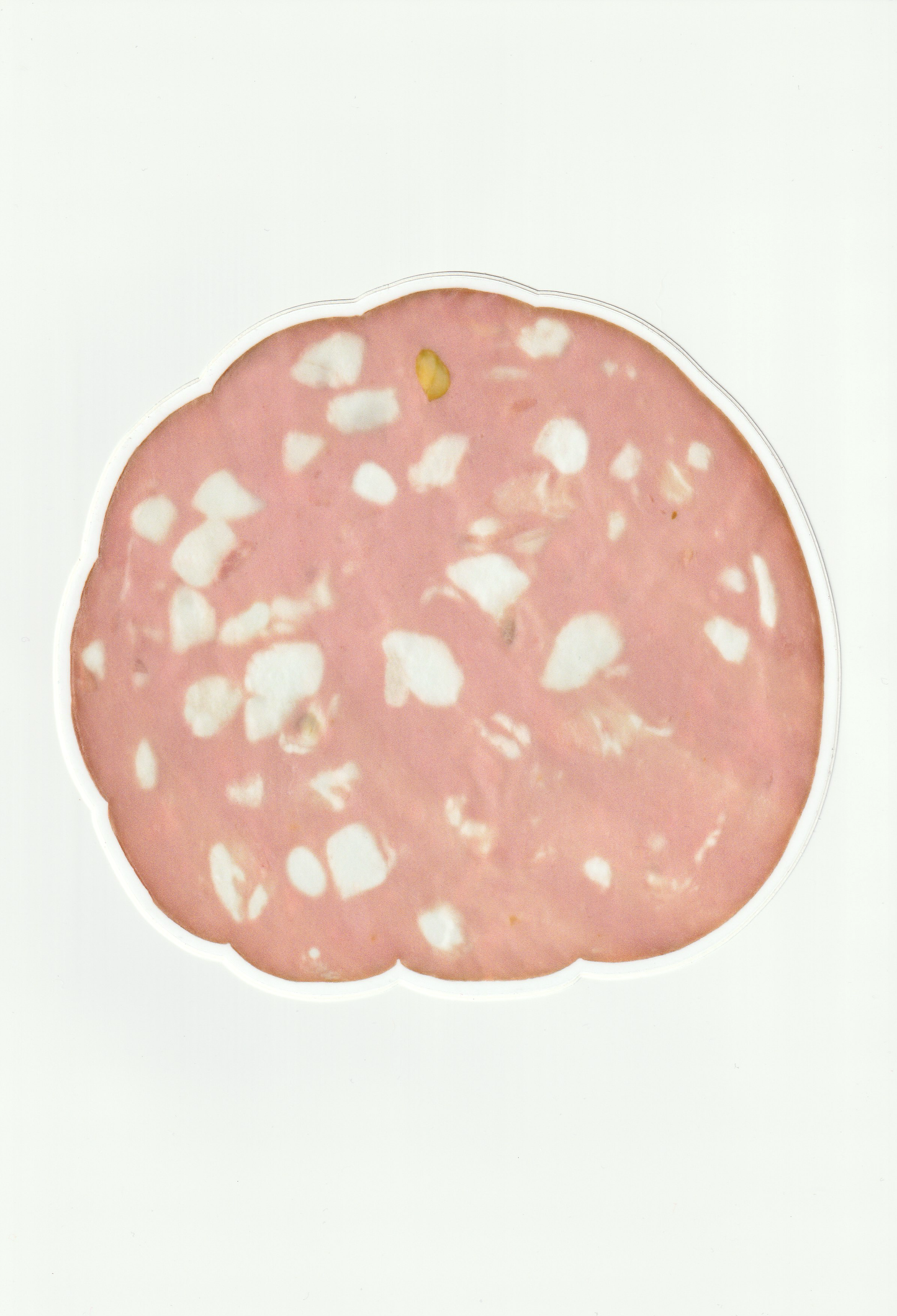 mortadella sticker, life-size