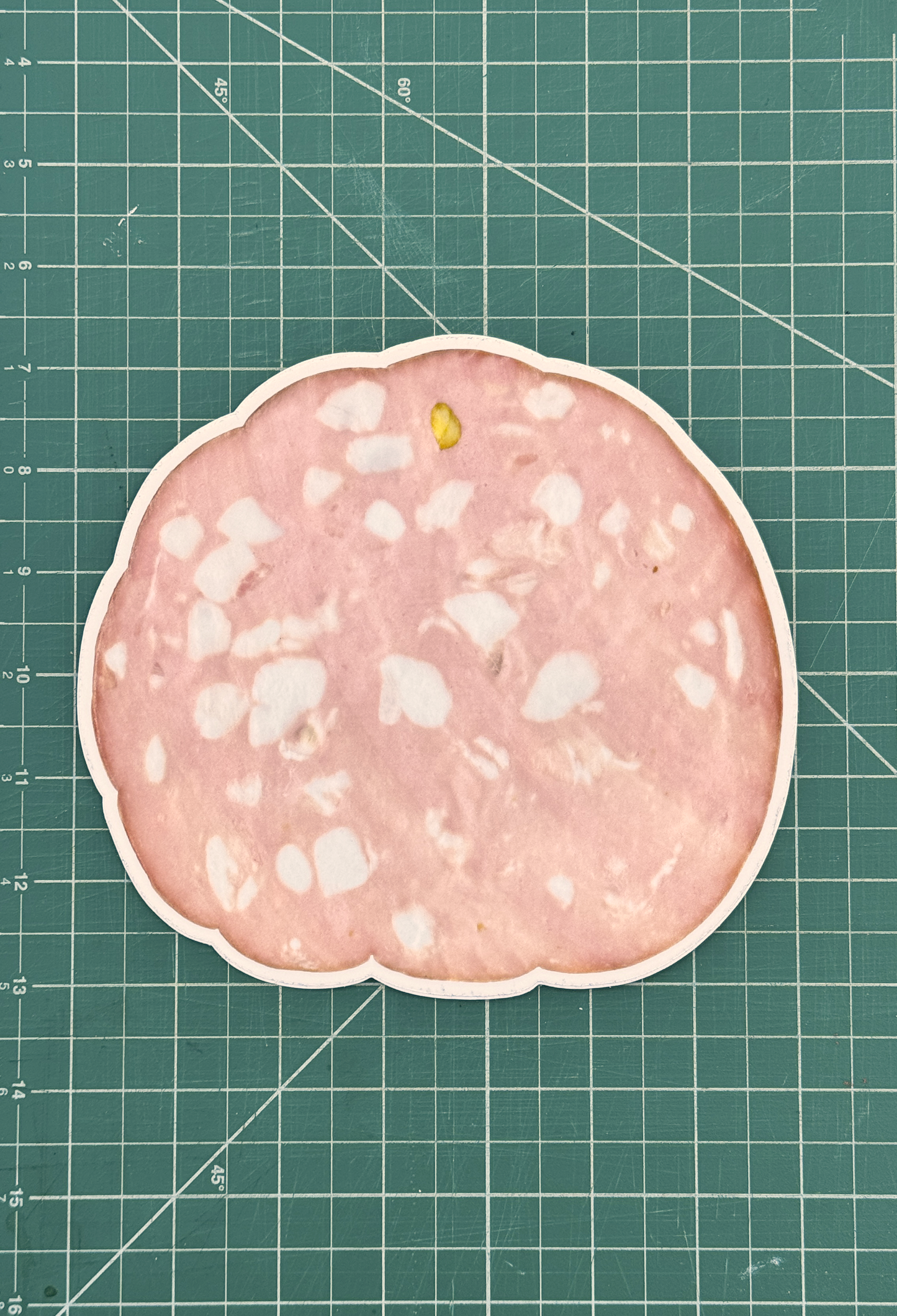 mortadella sticker, life-size