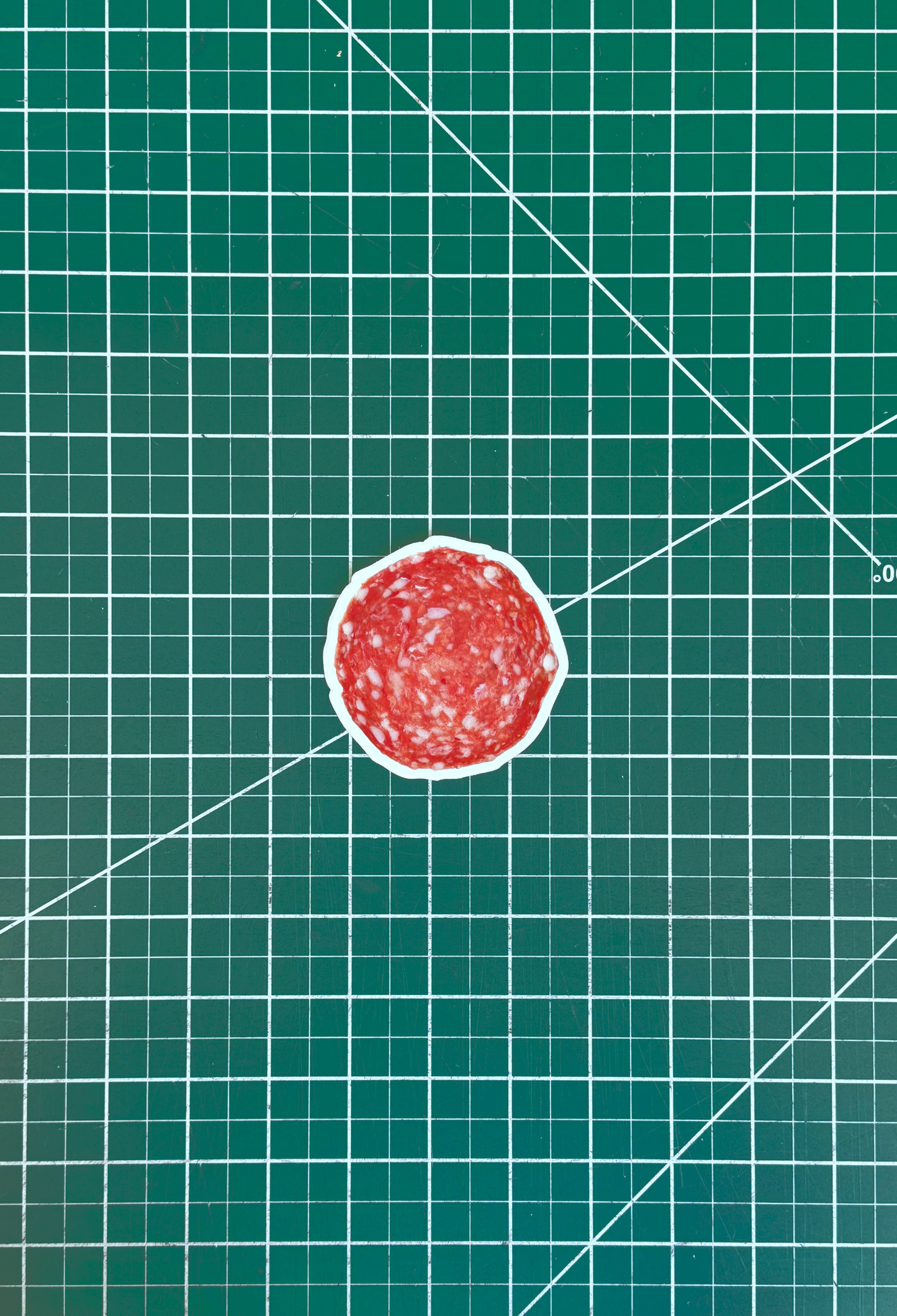 salami sticker, life-size
